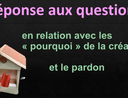 Réponse à deux questions en relation avec les « pourquoi » de la création et une sur le pardon – 1 décembre 2024.